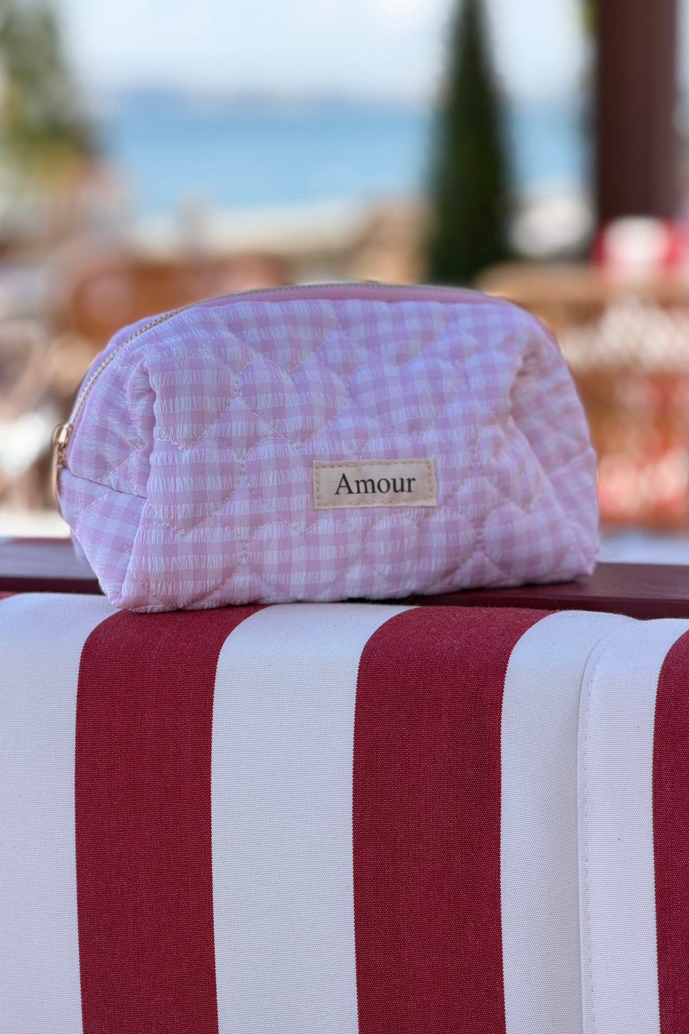 Pink Gingham “Amour” Heart Printed Pouch