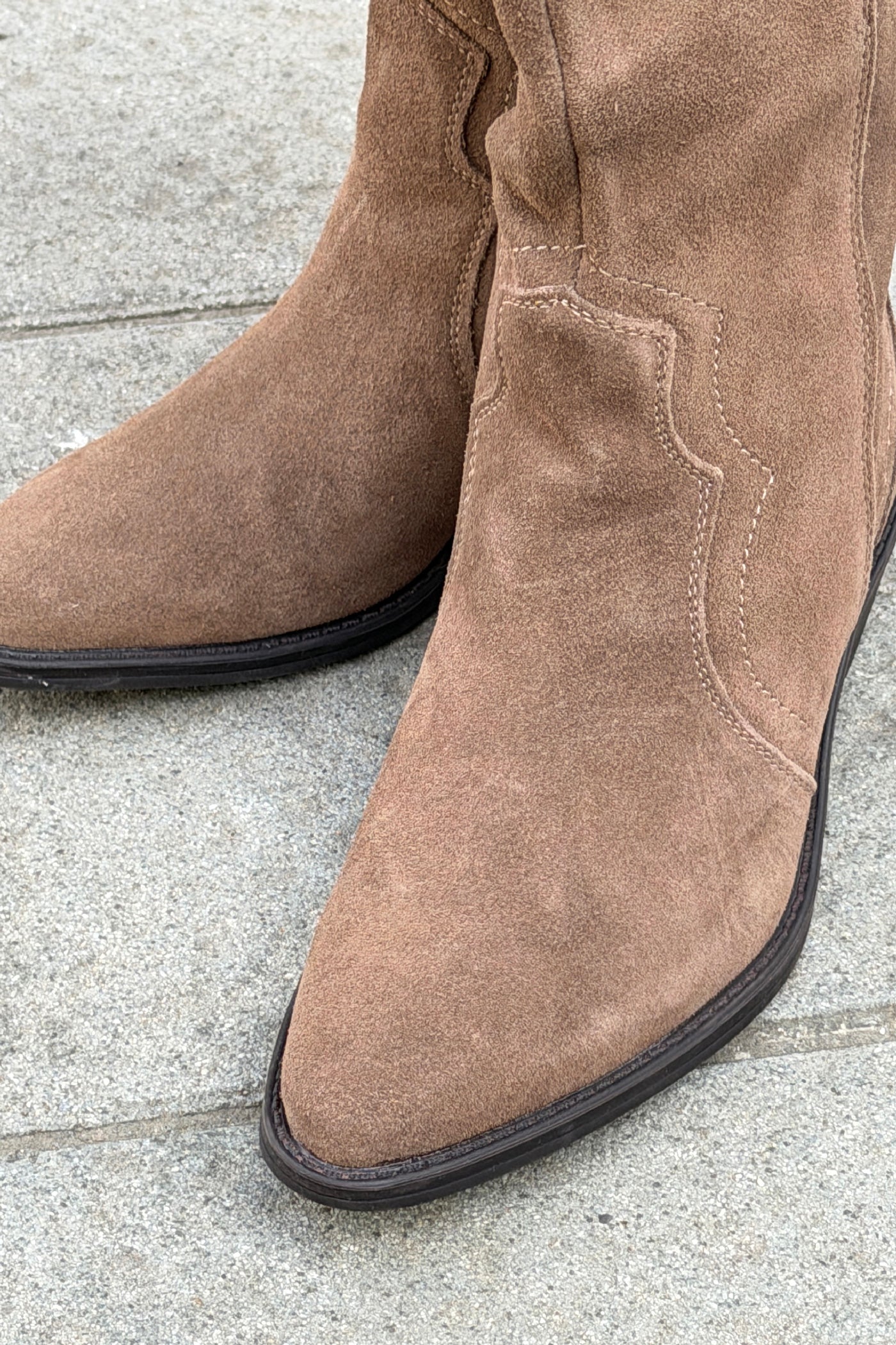 Santiags en cuir taupe avec détails brodés, talons et zip